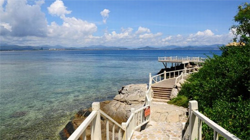 亦花亦果答案茶