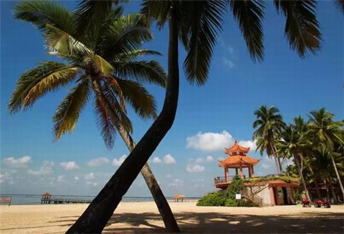 豆啡艾豆豆家私房蛋糕