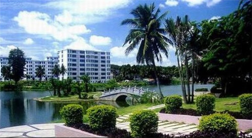 李功夫中华鸡排