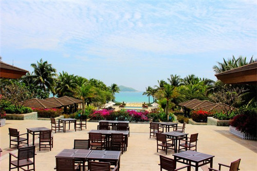 大牌牛雪花牛腩火锅