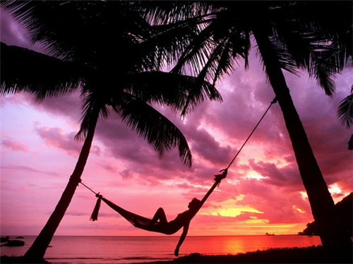 跳北支王牌鸡柳餐饮