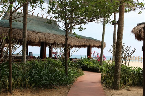 方糖小表女士手表（方糖手表怎么戴）