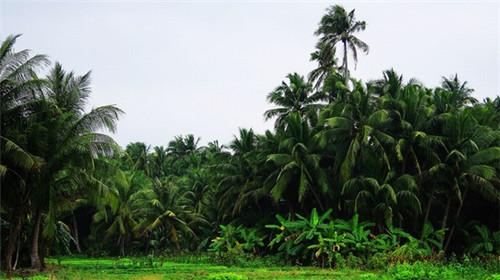 属兔起名有水可以吗（属兔名字忌讳）