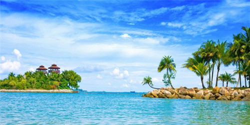 炒海带可以经常吃吗（炒海带可以经常吃吗有毒吗）