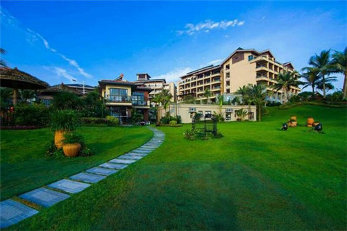 十一睾丸注射剂安全吗（十一睾丸素的作用和功效）