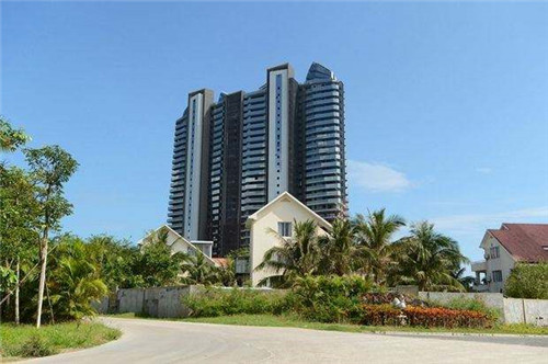 霍山黄芽茶叶发黄吗（礼品盒装霍山黄芽茶叶价格）