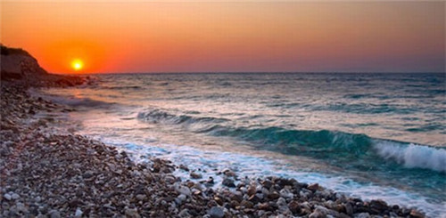 适合小县城开的鹿鞭膏加盟店有哪些（鹿鞭膏专卖店）