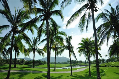 十大标准化体系是什么（中国十大标准）