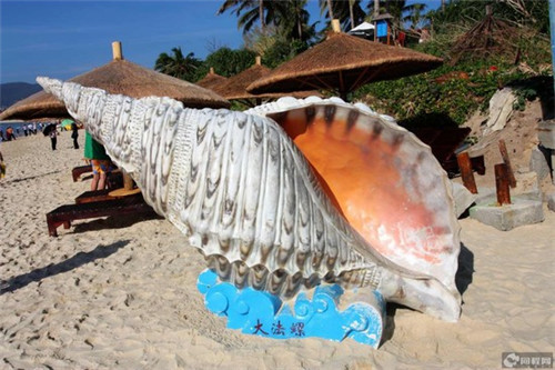 善纤颂黑咖啡评价（善维纤减肥咖啡能减肥吗）